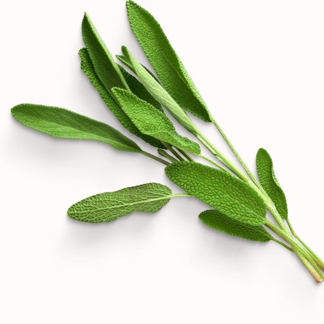 Imagem de jardim